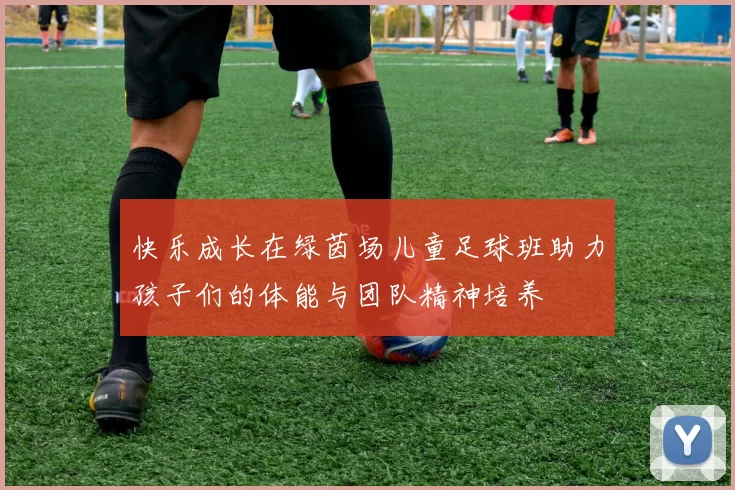 快乐成长在绿茵场儿童足球班助力孩子们的体能与团队精神培养