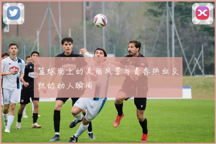 篮球场上的美丽风景与青春热血交织的动人瞬间