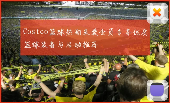 Costco篮球热潮来袭会员专享优质篮球装备与活动推荐