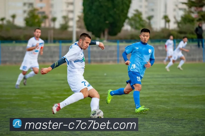 C7娱乐网站服务体系